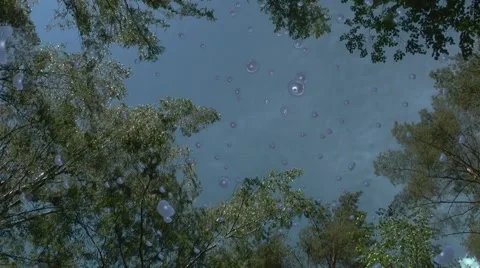 Large raindrops Video stock 51376854