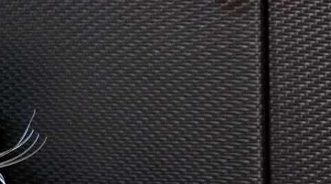 Large rattan Stock Footage 20909505