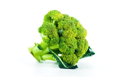 Large raw fresh head of broccoli cabbage on white background, healthy vegetar Stock Photos