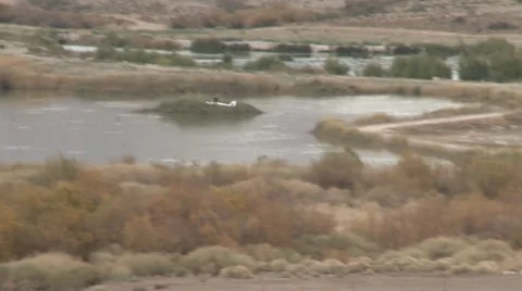 Large RC Plane flying over park Video stock 8643147