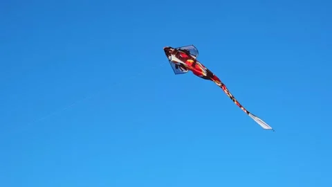 The Large red and orange kite in shape of the Koi carp flying high in clear Stock Footage 347956665