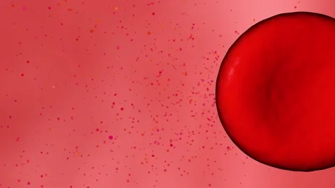 A large red blood cell rotates in a circle and other molecules fly after it Stock-Footage 157583252
