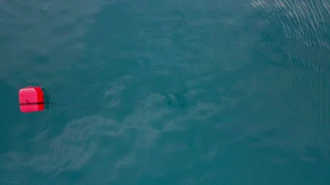 Large red buoy fixed with long rope from sea bottom floats Stock Footage 154917570