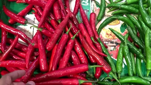 Large red chilies and large green chilies Video stock 270456531