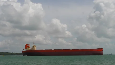 Large red commercial cargo ship cruising in Singapore waters Stock Footage 335544104