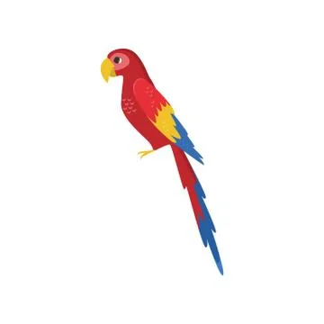 Large red macaw parrot side view isolated on white background 스톡 일러스트