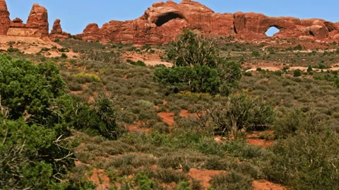 Large red rock arches, pinnacles, and fins in Arches National Park, Utah 스톡 동영상 258882269