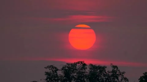 Large red sun setting over tree silhouettes in hazy sky Stock Footage 346323778