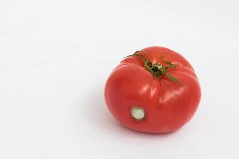 A large red tomato on a white background. The vegetable has signs of rotting. A Stock Photos