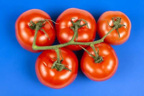 Large red tomatoes on a branch close-up Foto stock