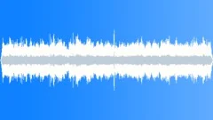 LARGE RESTAURANT Sound Effect