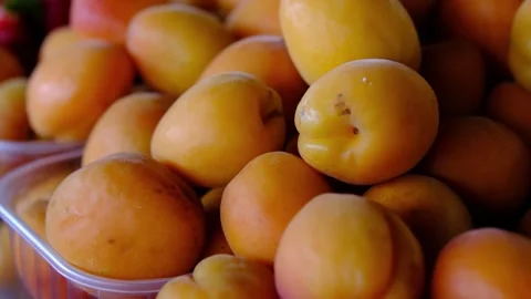Large ripe apricots in plastic containers displayed at farmers market with Stock Footage 346635498
