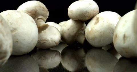Large ripe champignons. Fresh raw mushrooms on black glossy background. Stock Footage 146798480
