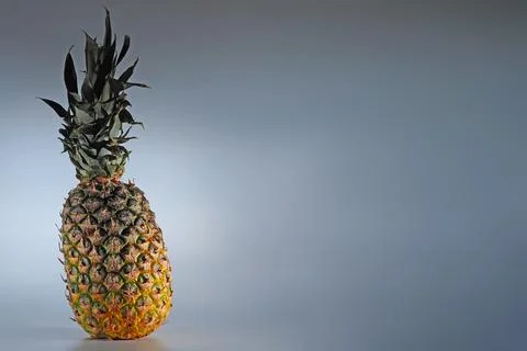 Large ripe pineapple on a gray background Foto stock