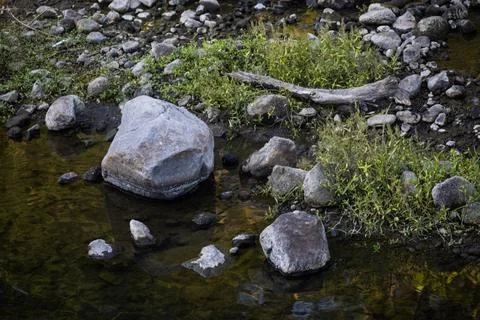 Large River Boulder Surrounded by Small Stones Dry Branch and Green Vegetatio Stock Photos