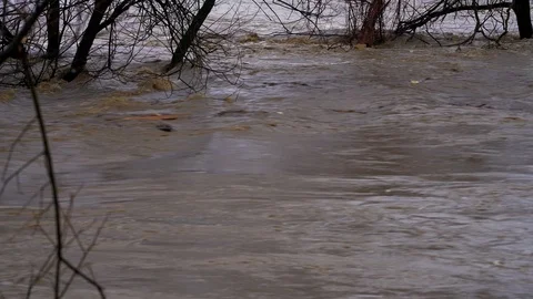 Large River Flood after melting snow, muddy water, disaster Stock Footage 104151713