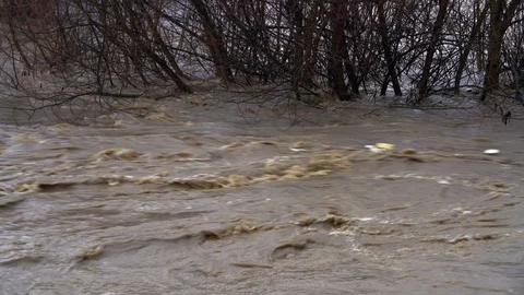 Large River Flood after melting snow, rare event, speed water carries trash Video stock 104161481