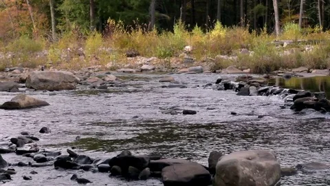 Large river flowing Video stock 81593103