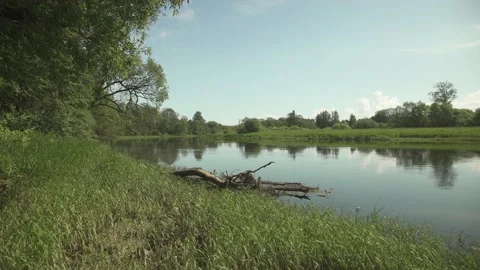 A large river flowing through remote nature with reflection in the water Stock Footage 159981153