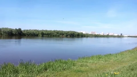 A large river with flying birds. Stock Footage 77235372