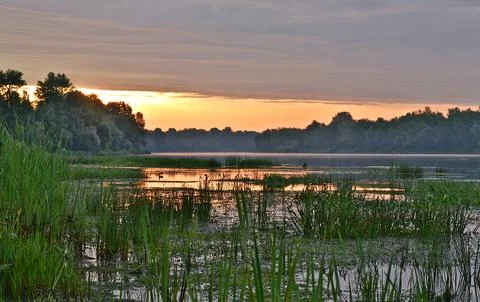 A large river in the middle of the forest during the morning dawn. Foto stock