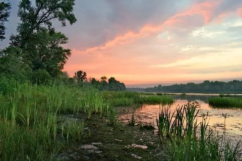 A large river in the middle of the forest during the morning dawn. Stock Photos