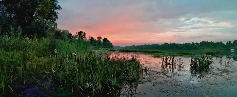 A large river in the middle of the forest during the morning dawn. Panorama. Stock Photos