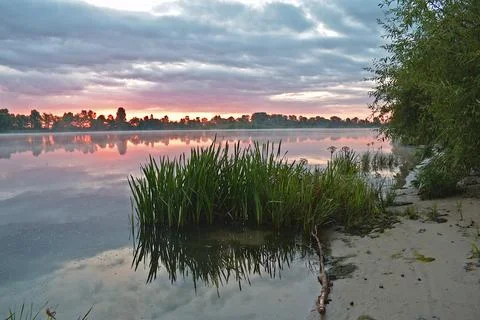 A large river in the middle of the forest during the morning dawn. Stock Photos