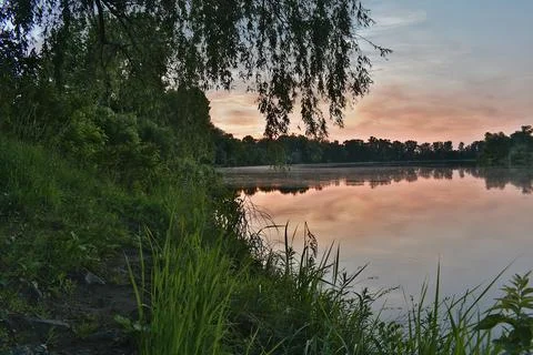 A large river in the middle of the forest at sunset. Stock Photos