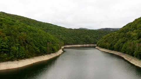 Large River in Mountains with Trees Stock Footage 241041063