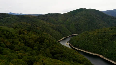 Large River in Mountains with Trees Stock Footage 241838123
