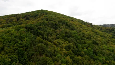 Large River in Mountains with Trees Stock Footage 241839575