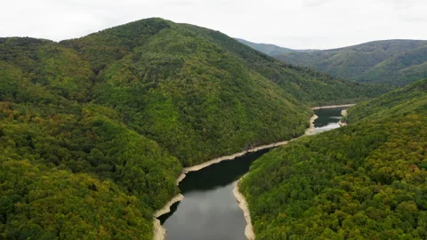 Large River in Mountains with Trees Stock Footage 243611930