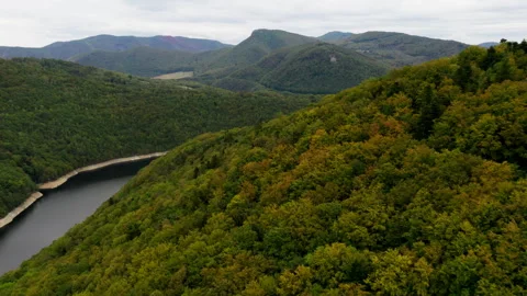 Large River in Mountains with Trees Stock Footage 247101275