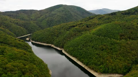 Large River in Mountains with Trees Stock Footage 247916547