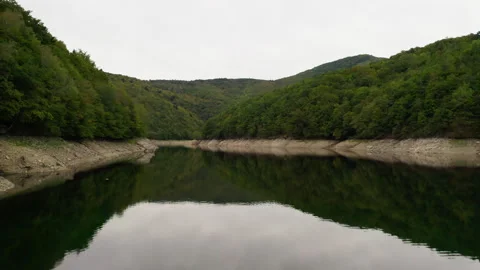 Large River in Mountains with Trees Stock Footage 248720348