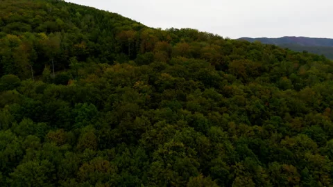 Large River in Mountains with Trees Stock Footage 263853851