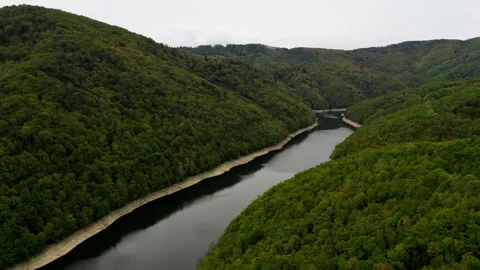 Large River in Mountains with Trees Stock Footage 263854372
