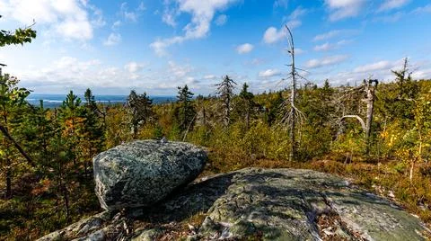 A large rock in dense forest, surrounded by greenery and tall trees Stock Photos