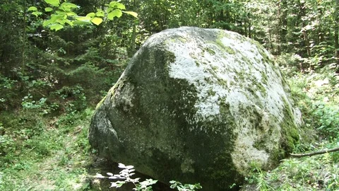 A large rock in the forest. Around the trees Stock Footage 93179393