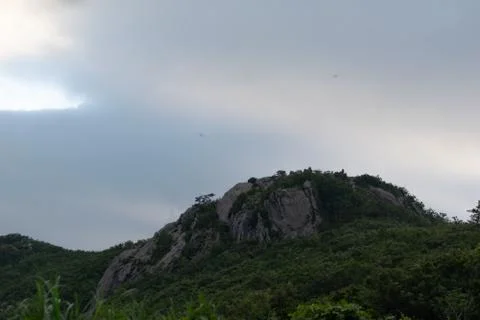 A large rock in the middle of the forest Stock Photos
