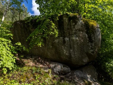 A large rock in the middle of a forest Stock Photos