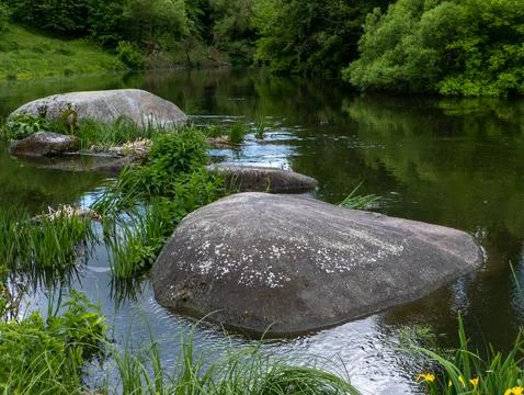 A large rock in the middle of a river surrounded by grass and flowers Stock Photos