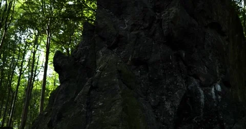 Large rock in mixed forest, sunny day, tall green trees in the background Vídeos de archivo 253653489