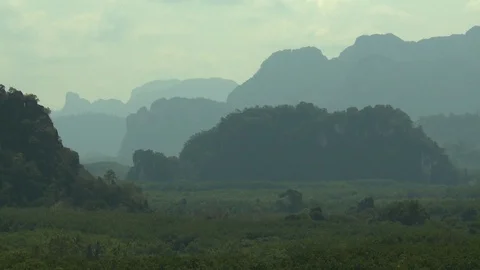 Large Rock Mounds Covered in Trees Stock Footage 114584728