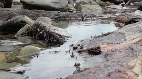 Large rock-pool close-up (2) Stock Footage 43386554