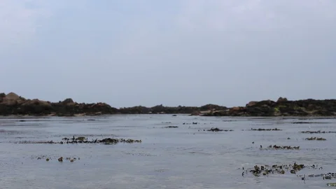 Large rock pool in Jersey Stock Footage 129774013