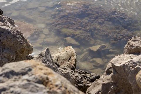 A large rock on the seashore Foto stock