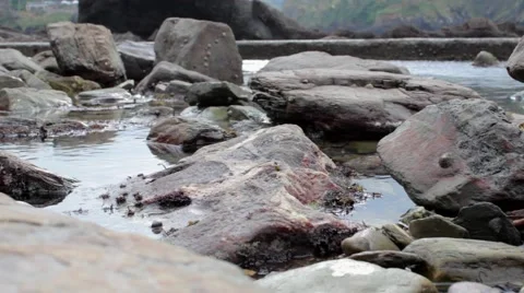 Large rockpool close-up.mp4 Stock Footage 43386191