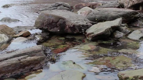Large rockpool Stock Footage 43387117